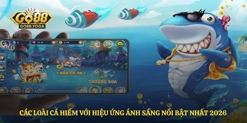 Các loài cá hiếm với hiệu ứng ánh sáng nổi bật nhất 2026